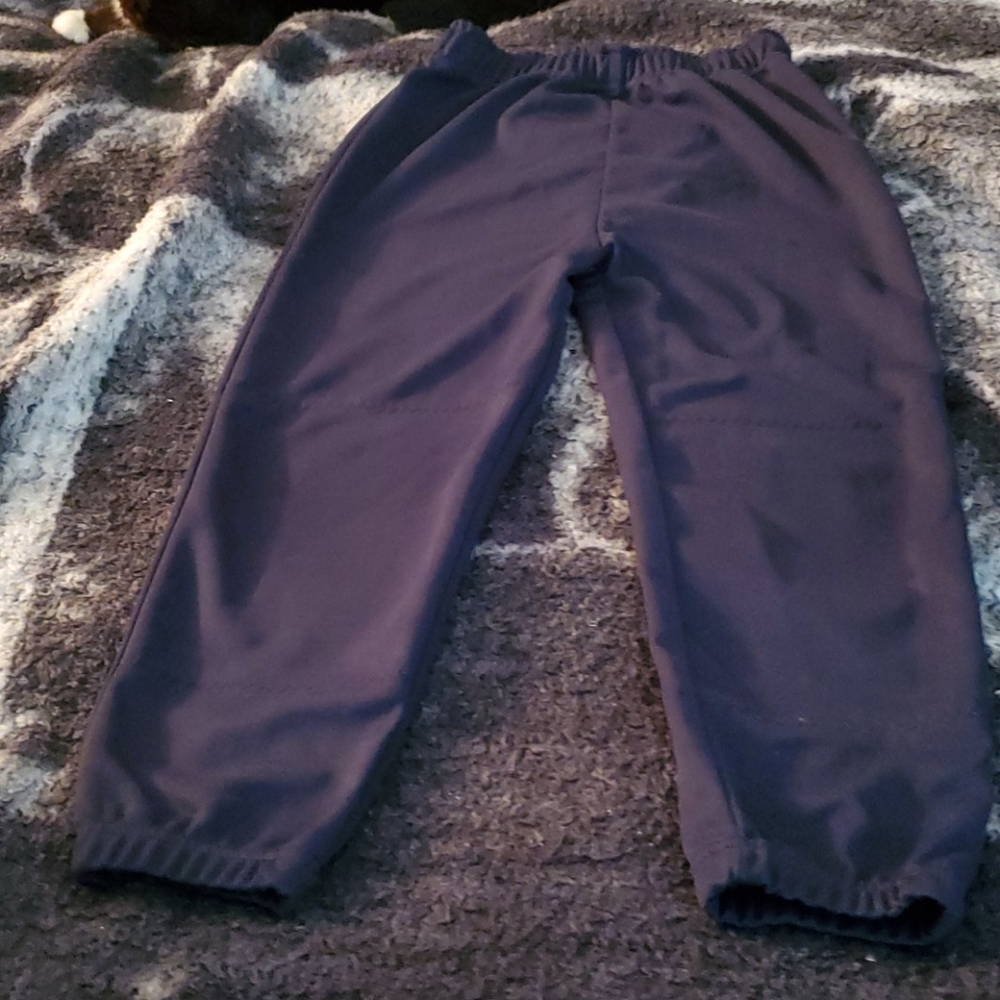 Baseball pants
